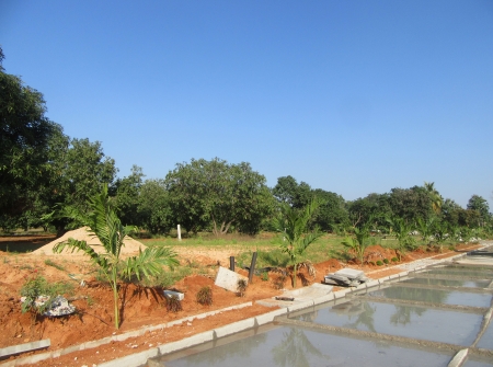 2) Li Id : 188 - Pic 3.JPG